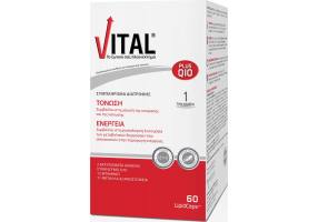 Vital Plus Q10 60 Lipidcaps