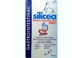 SILICEA GASTROINTESTINAL GEL natural analgesic for gastroenteritis 6x15